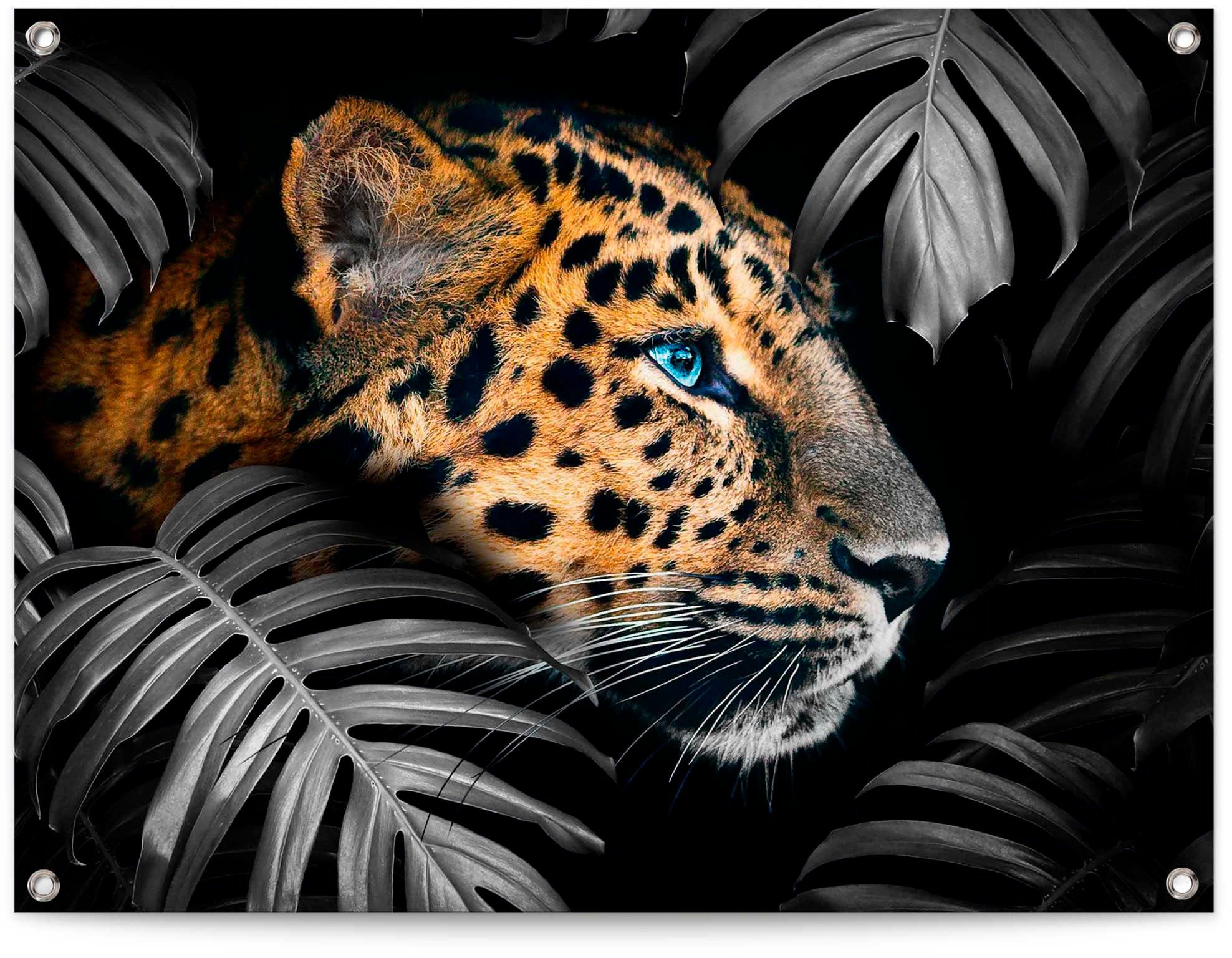 Poster Leopard