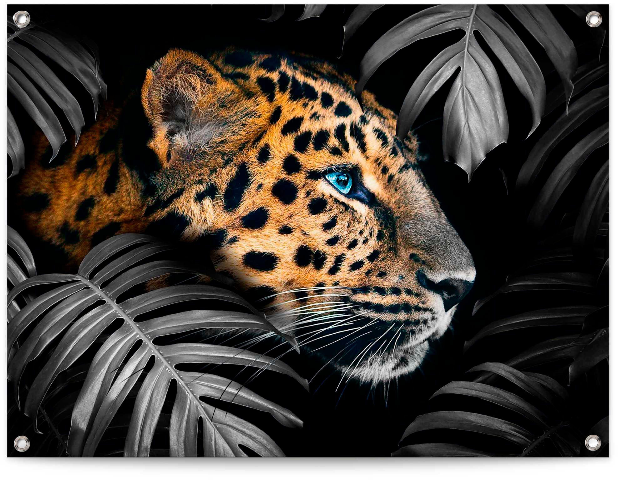 Reinders! Poster Leopard, Aufhängung mittels Schrauben, Haken oder  Gummibändern