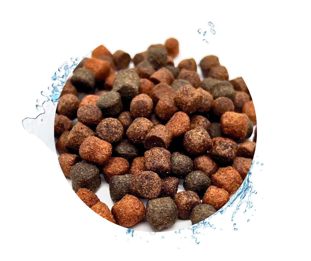 Warnick´s Tierfutterservice Koifutter Jumbo - Professional Mix in 8mm, Alleinfuttermittel für: Fische, Koi, größere Zierfische