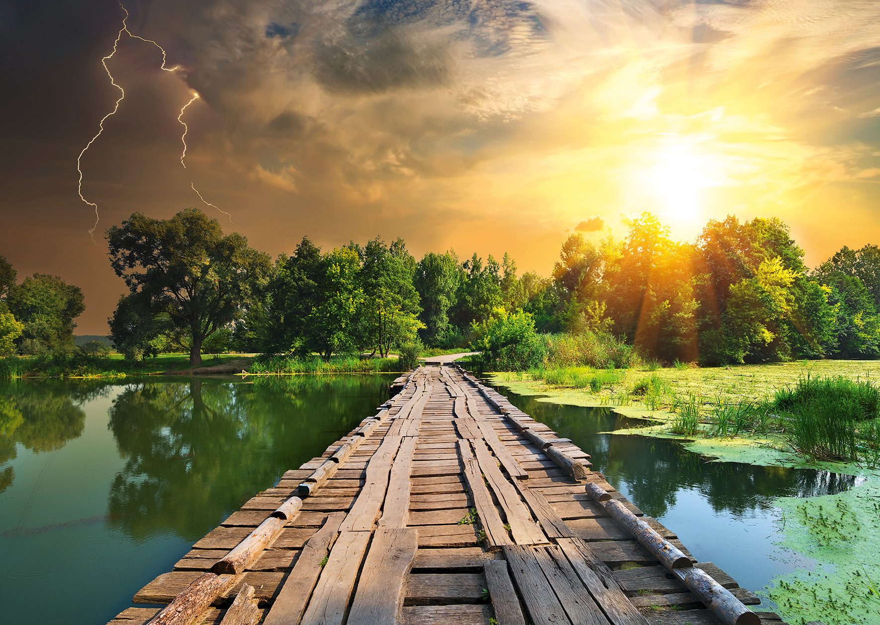 Ravensburger Puzzle power of nature, Mystisches Licht, 1000 Puzzleteile, Ma günstig online kaufen