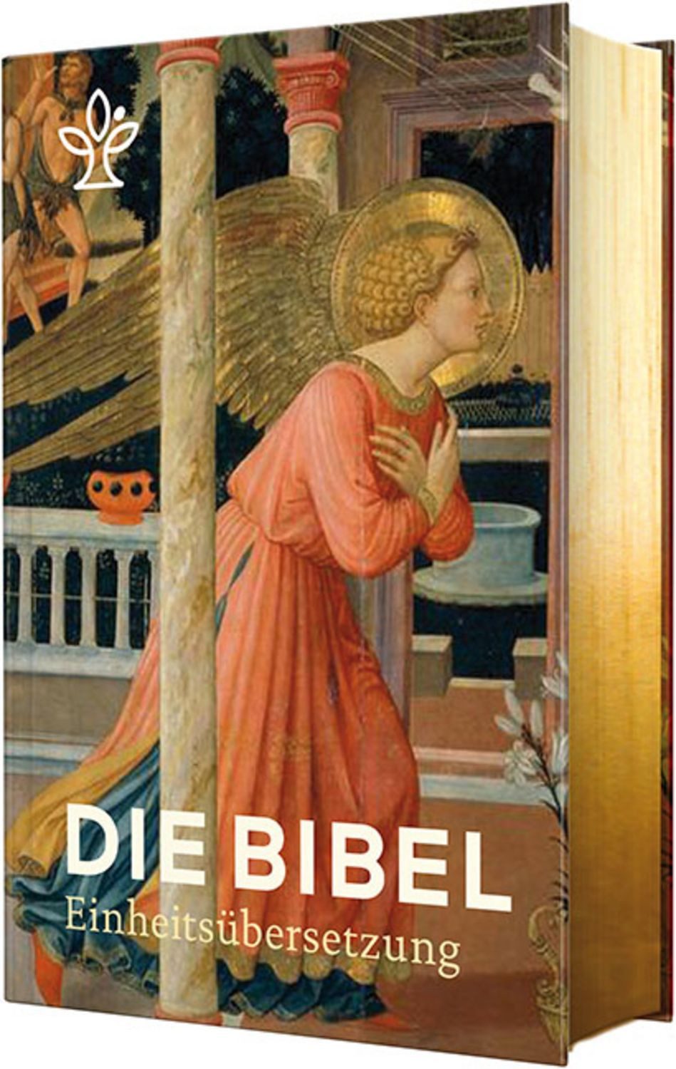 Die Bibel mit Bildmotiven von Engeln / diverse