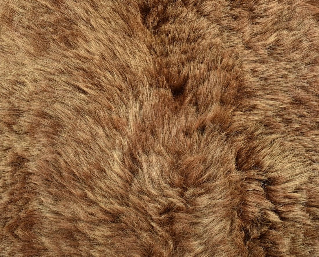 KUHFELL online & NOMAD Fellteppich Lammfell Doppel fell Couch Auflage 180 x 60 cm aus 2 echten Lammfellen – Bild 3 von 5