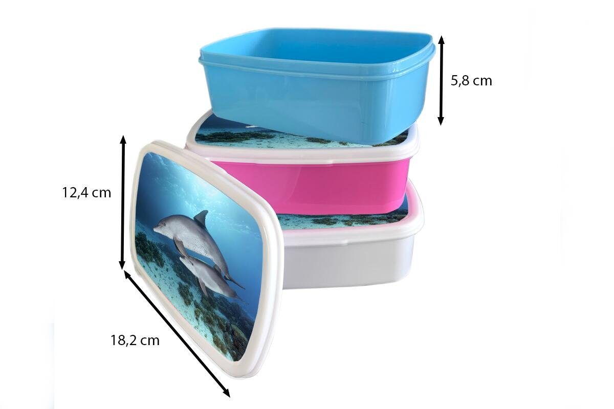 - Meer, Lunchbox für Kunststoff, Brotdose, (2-tlg), Delfin Erwachsene, Kinder und Kalb weiß Brotbox MuchoWow - Mädchen für Jungs und
