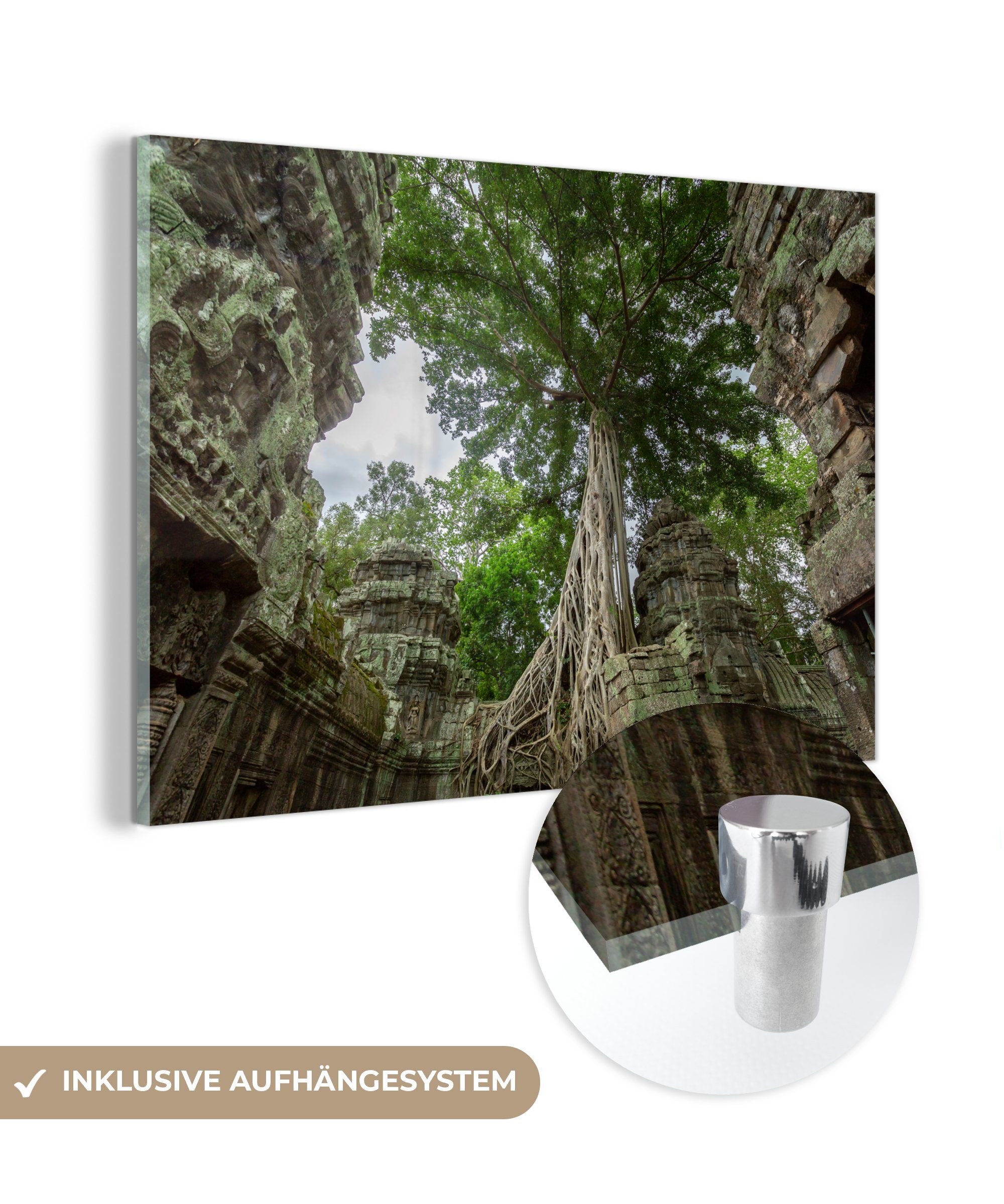 MuchoWow Acrylglasbild Überwachsener Ta Prohm-Tempel in Kambodscha, (1 St), Acrylglasbilder Wohnzimmer & Schlafzimmer