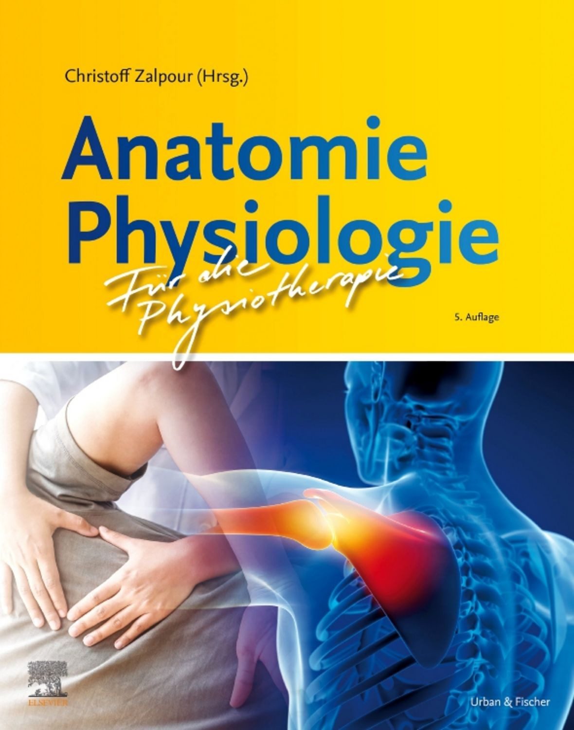 Anatomie Physiologie für die Physiotherapie / diverse
