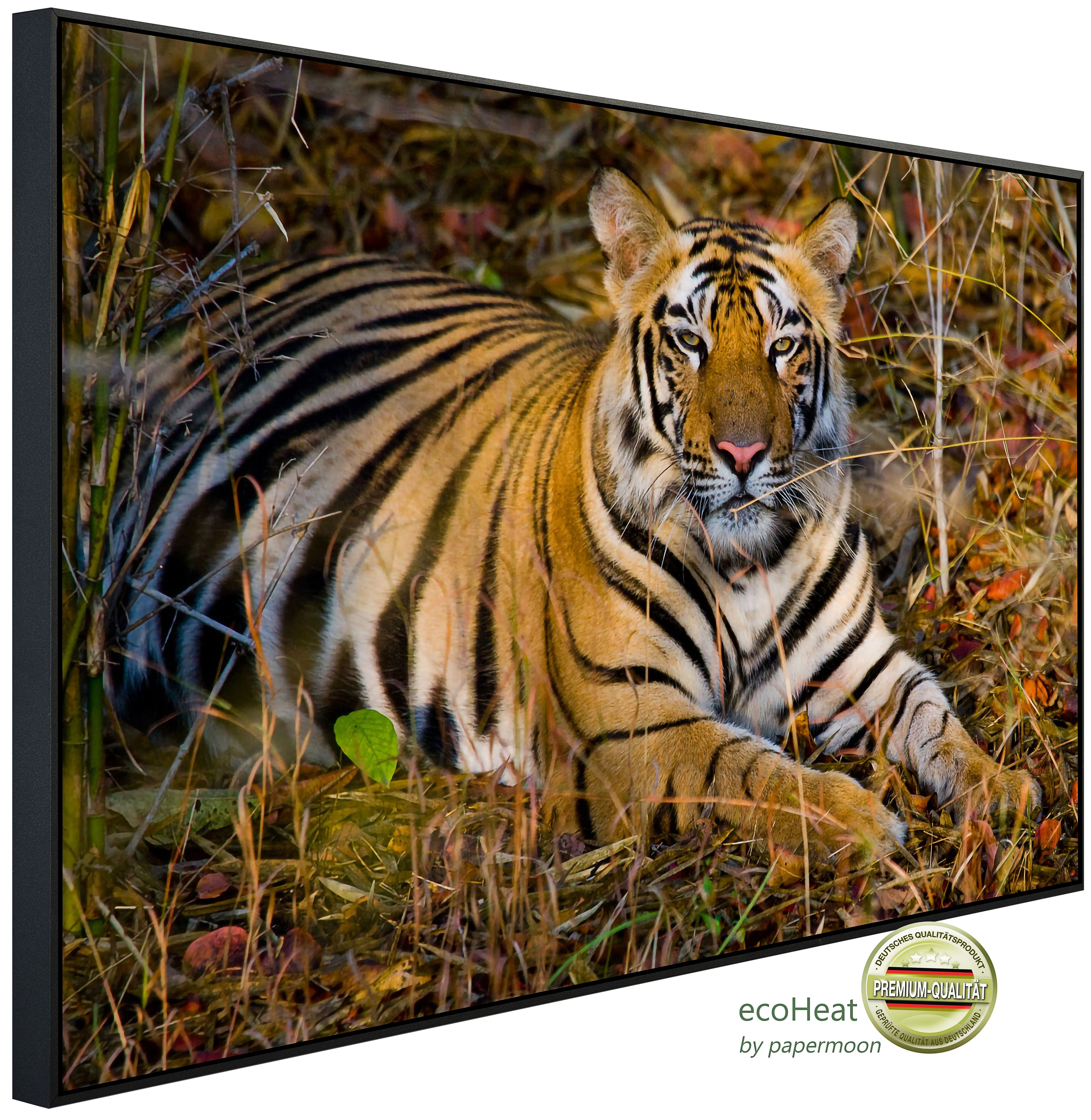 Infrarotheizung INFRAROT-BILD-HEIZUNG, Tiger