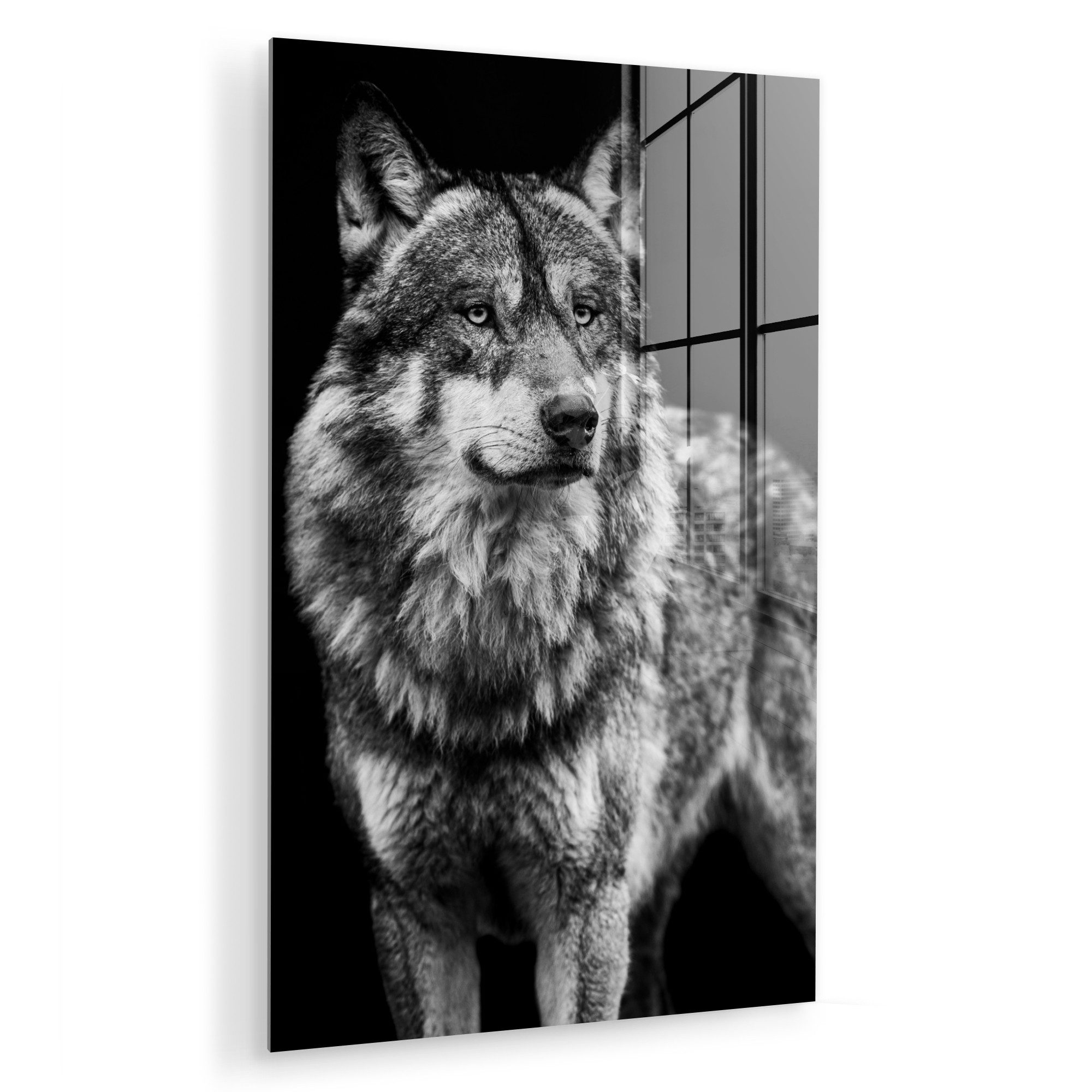 MuchoWow Acrylglasbild Wolf - Tiere - günstig online kaufen