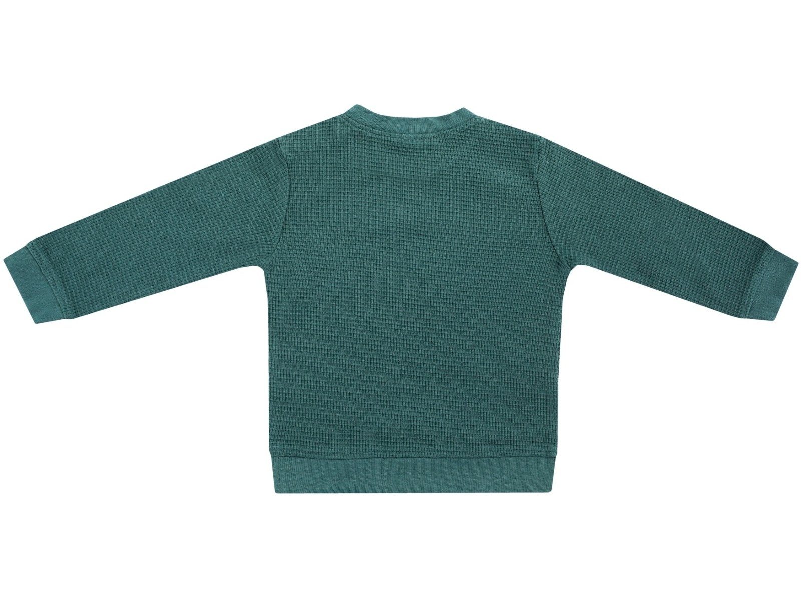 JACKY Langarmshirt Langarmsirt Best Buddies in Grün, Jungen (1323120)