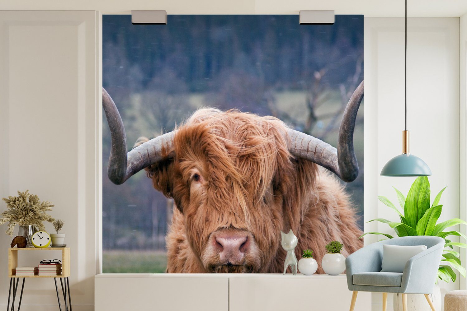 Schlafzimmer - St), - - Schottischer Kuh, Kuhkopf MuchoWow für Wohnzimmer Vliestapete Highlander Matt, Natur bedruckt, Fototapete Fototapete Küche, (4 - Landschaft