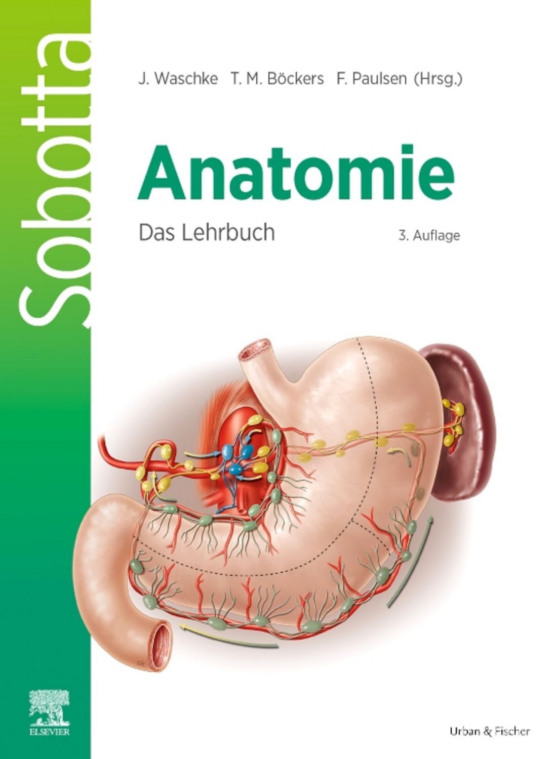 Sobotta Anatomie - Das Lehrbuch / diverse