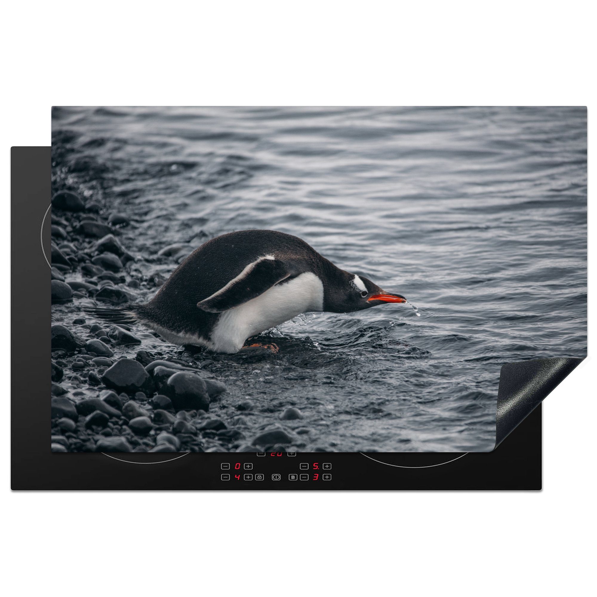 küche, die Herdblende-/Abdeckplatte Pinguin - für Wasser tlg), 81x52 - Tier Ceranfeldabdeckung Induktionskochfeld Vinyl, MuchoWow cm, (1 Schutz Getränk, -