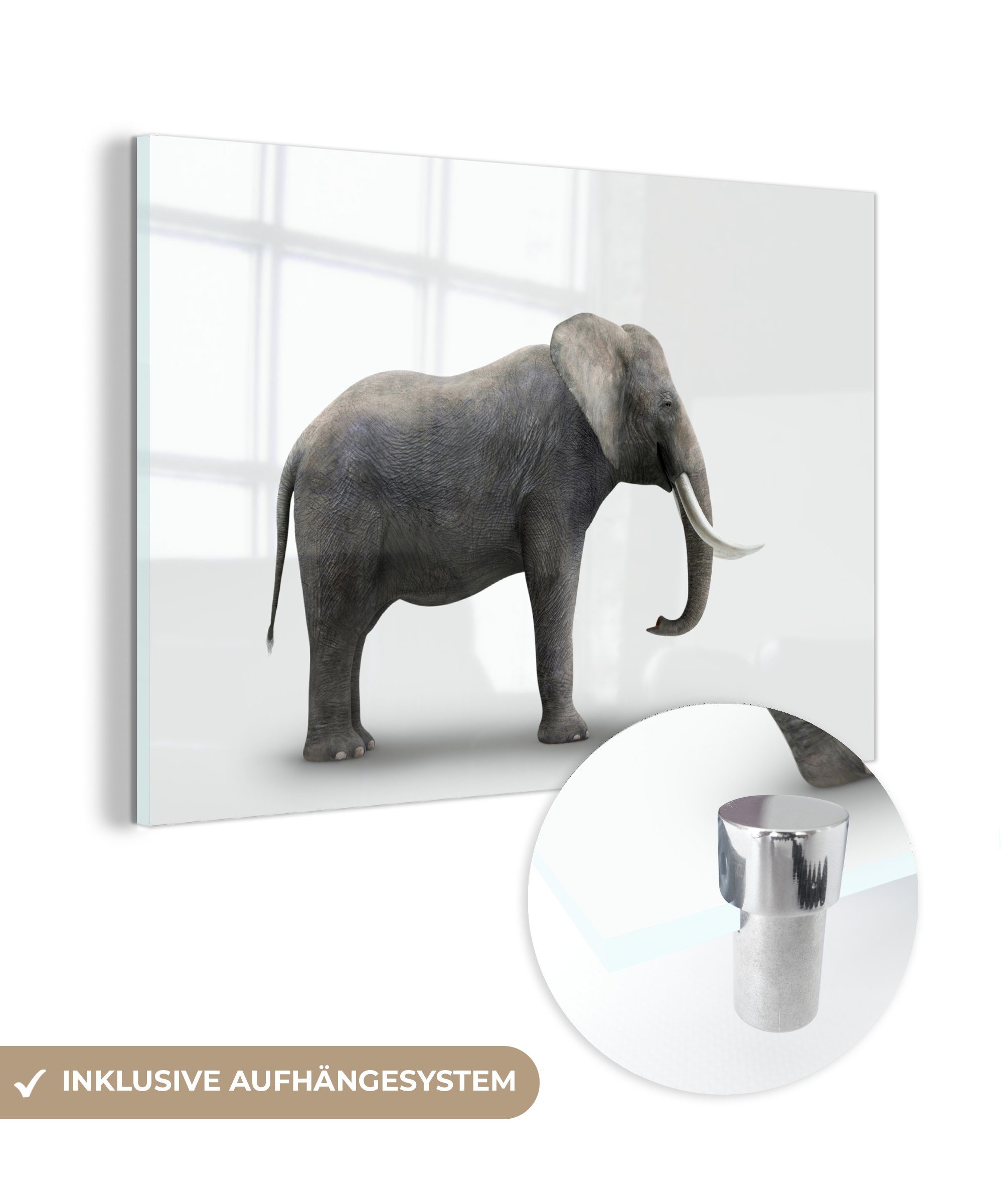MuchoWow Acrylglasbild Elefant auf weißem (1 & Acrylglasbilder Wohnzimmer bunt St), Hintergrund, Schlafzimmer