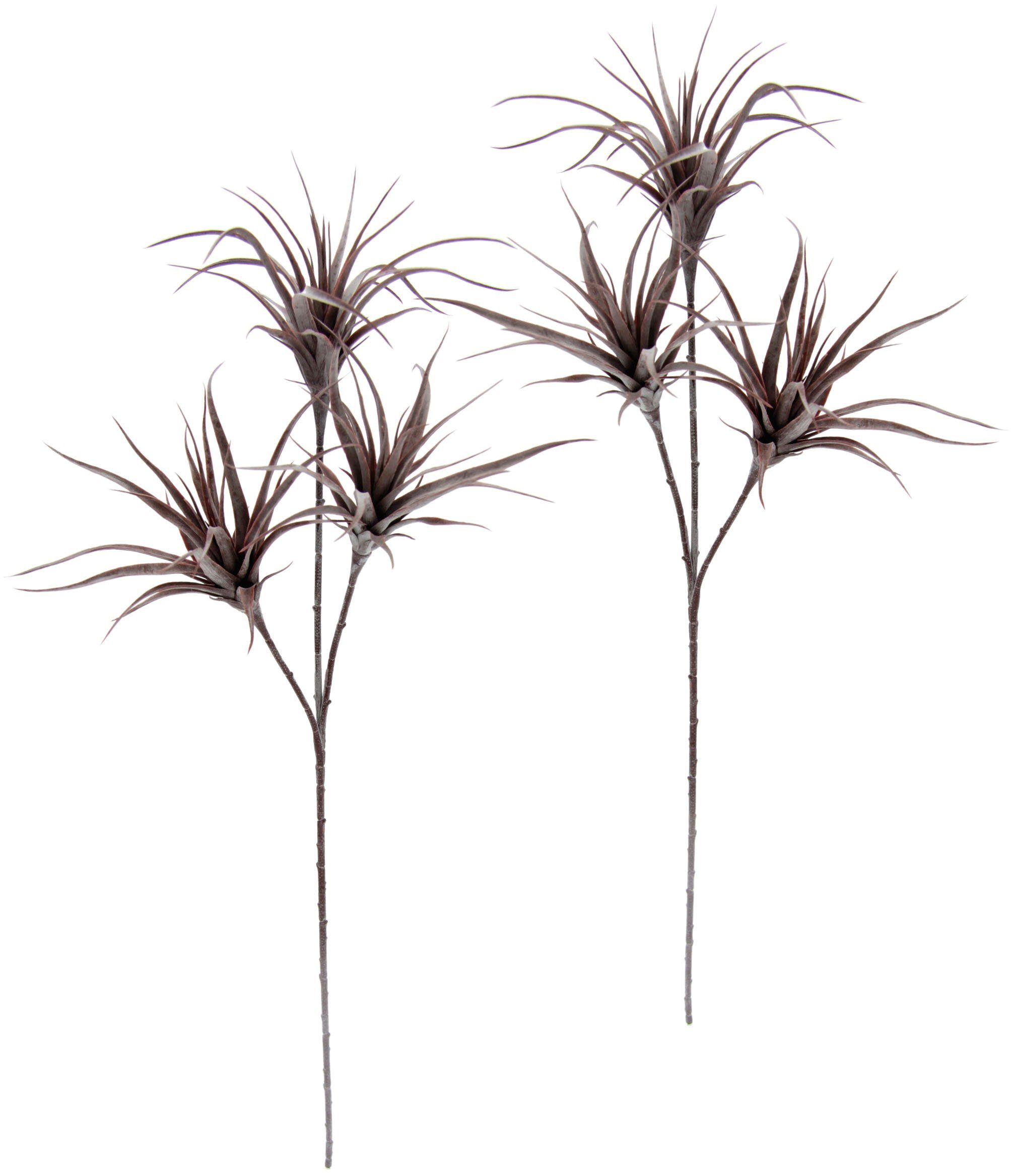 Kunstpflanze Tillandsia, I.GE.A., Höhe 63 mauve Set cm, 2er