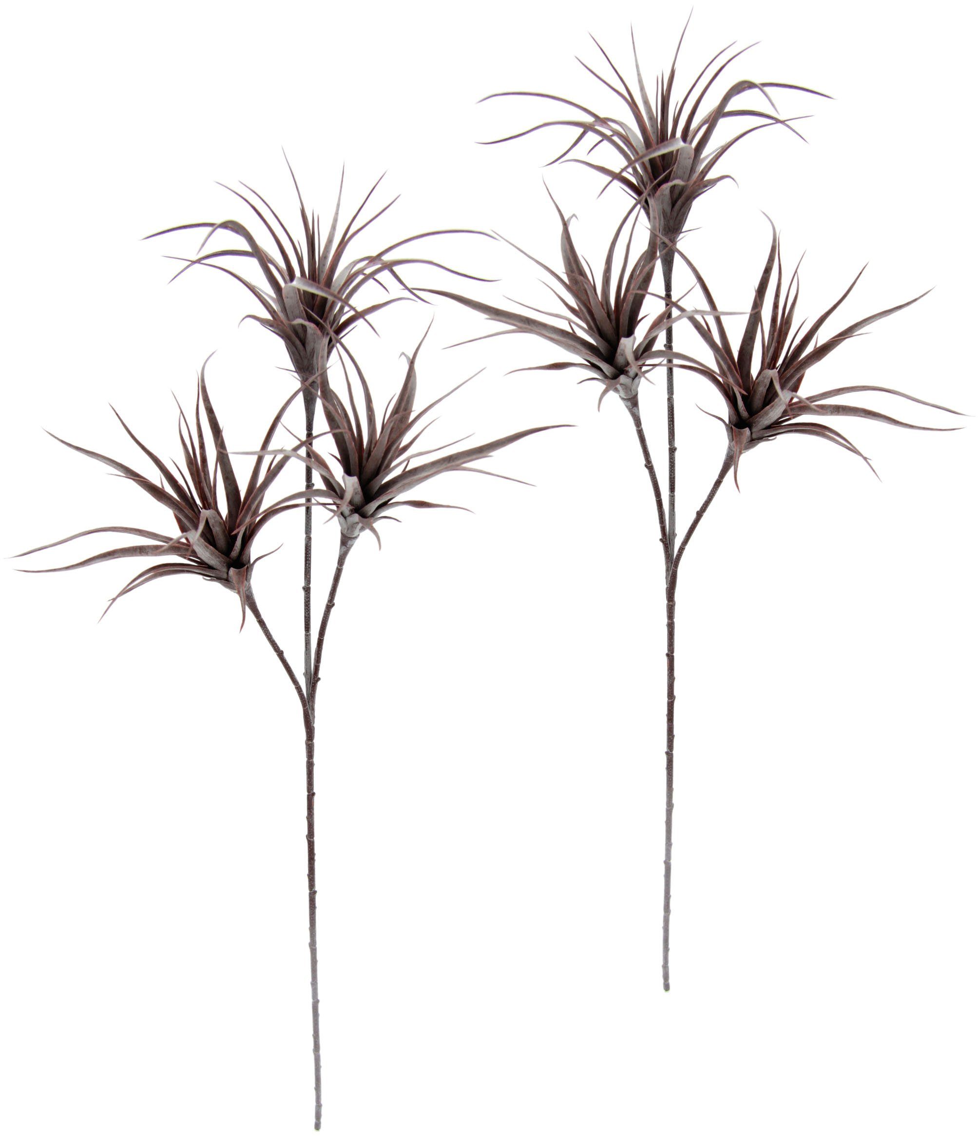 Tillandsia, mauve I.GE.A., 2er 63 cm, Set Höhe Kunstpflanze