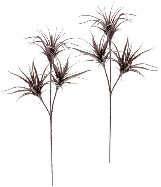 Kunstpflanze »Tillandsia«, I.GE.A., Höhe 63 cm, 2er Set-Otto