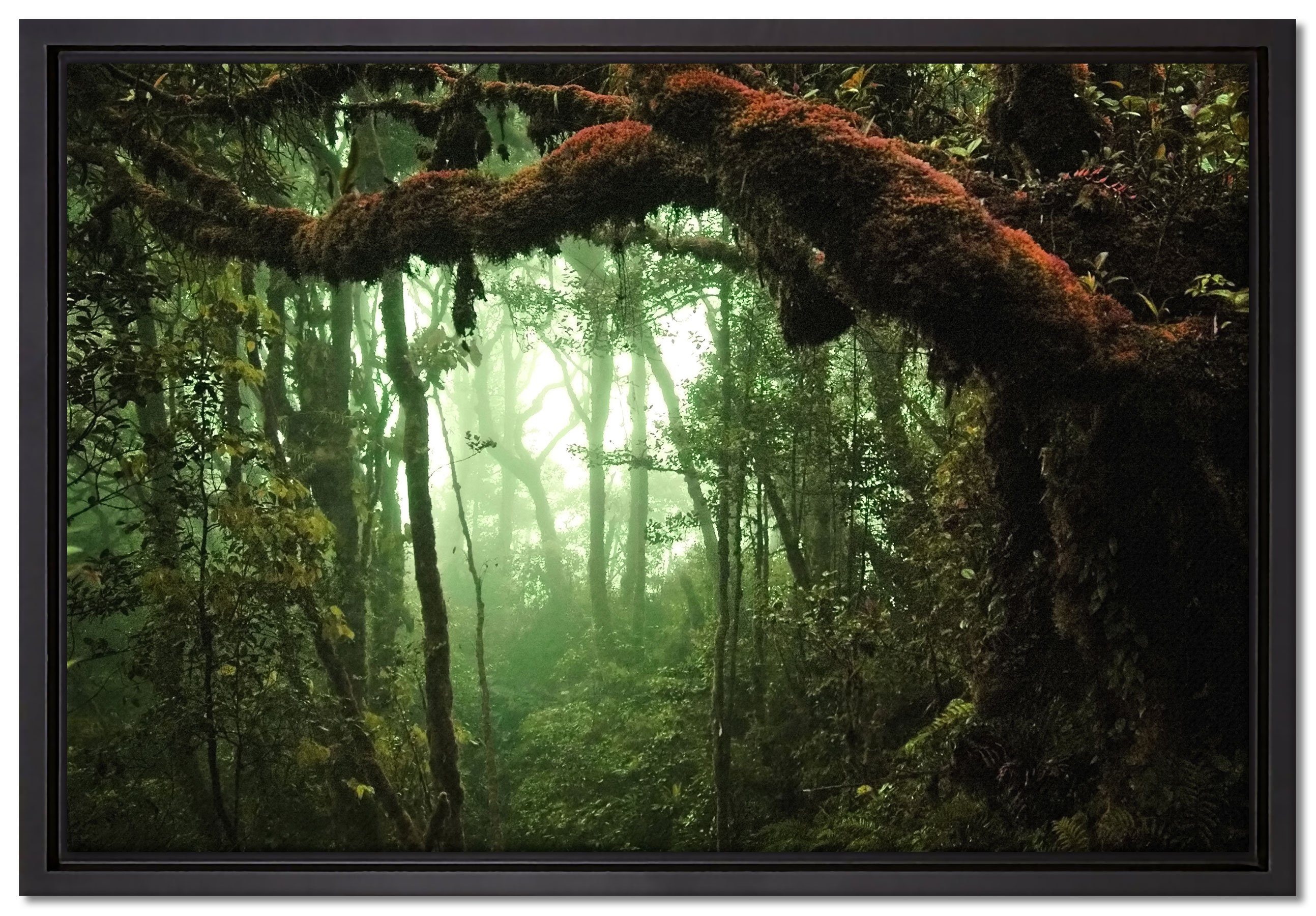 Pixxprint Leinwandbild Geheimnisvoller Regenwald, Wanddekoration (1 St), Leinwandbild fertig bespannt, in einem Schattenfugen-Bilderrahmen gefasst, inkl. Zackenaufhänger