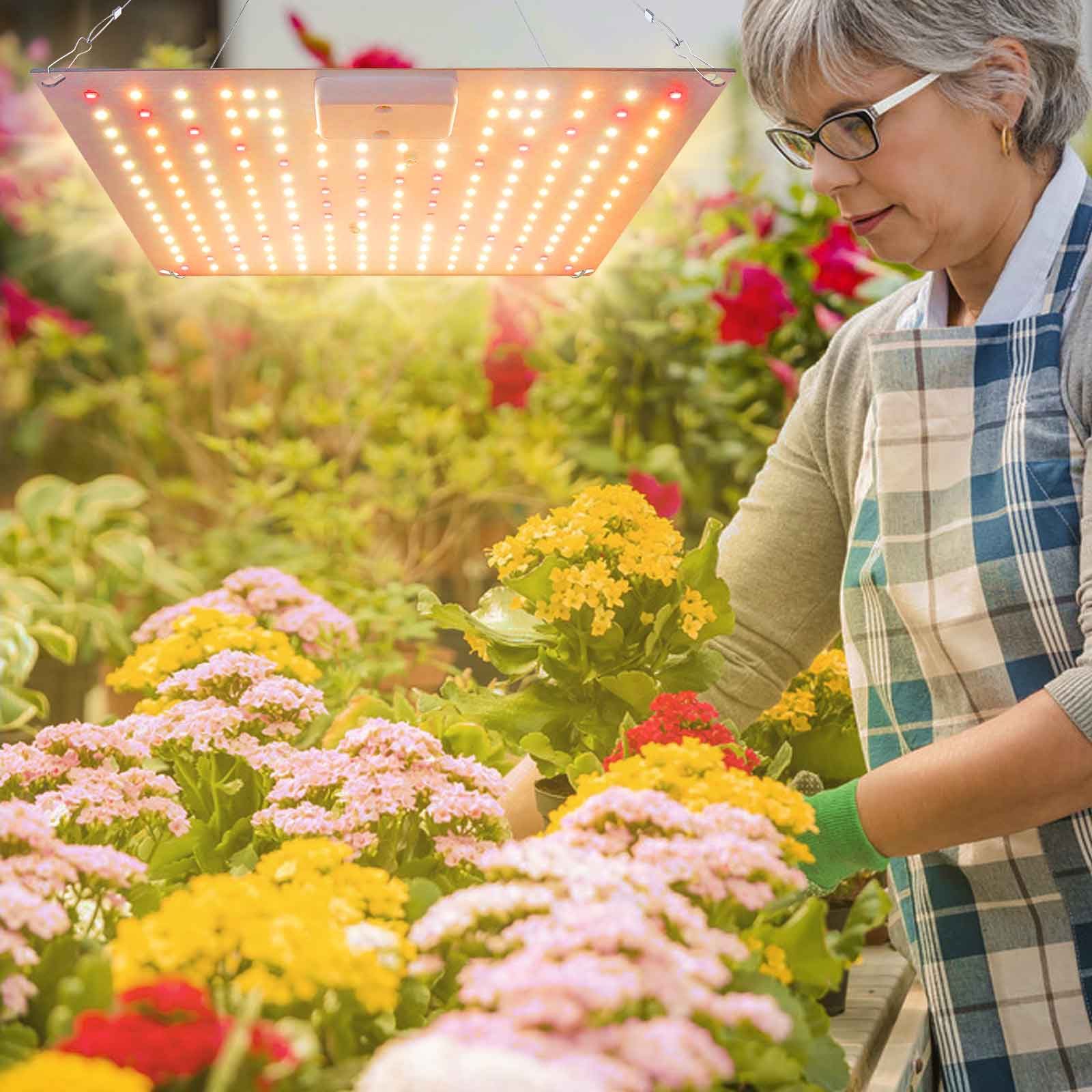 Jibenhome Pflanzenlampe LED Grow Lampe Pflanzenlicht günstig online kaufen