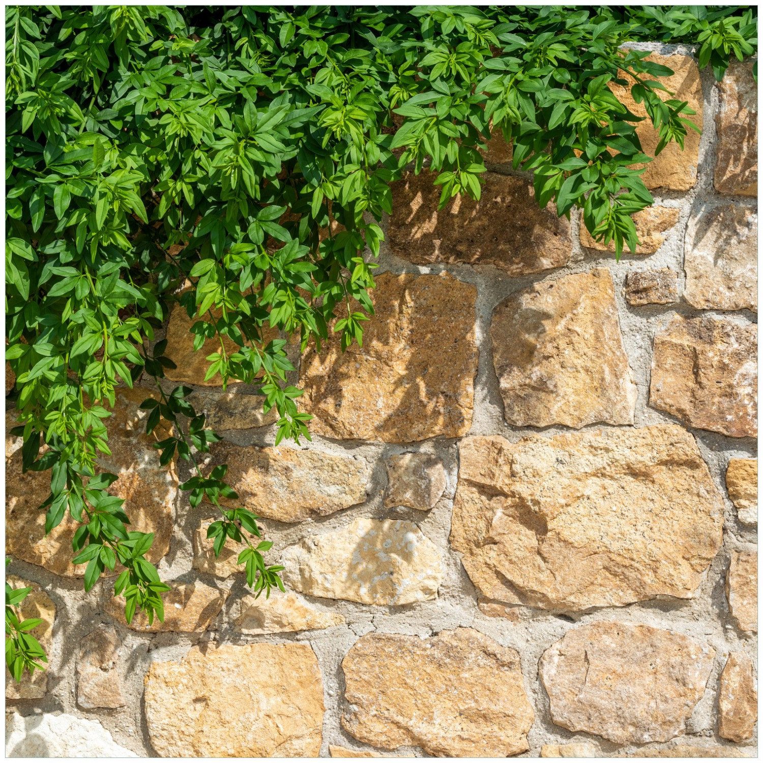 Wallario Möbelfolie Natursteinwand mit Ranken