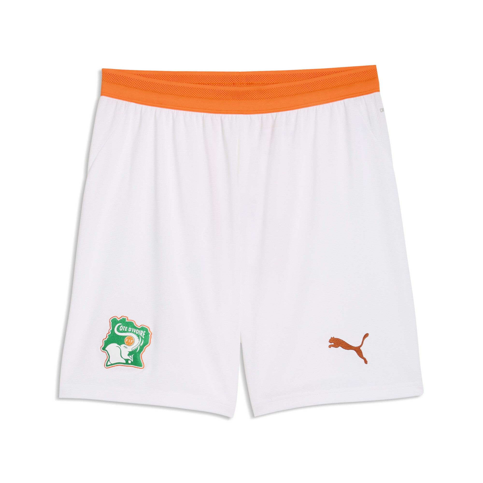 Sporthose Elfenbeinküste Shorts Herren