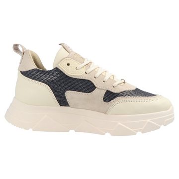STEVE MADDEN SM11001024 Pitty Suede Sneaker