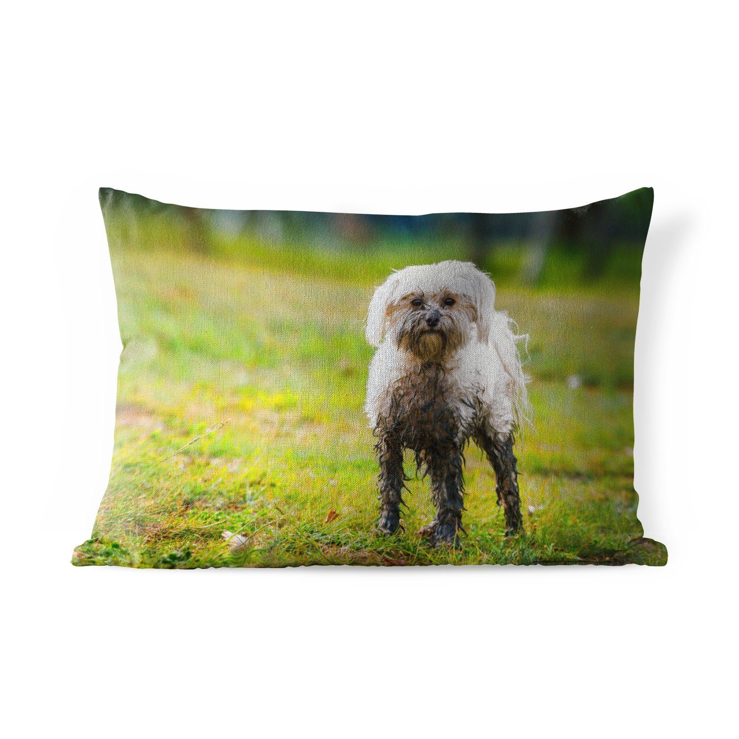MuchoWow Dekokissen Ein kleiner Malteserhund, halb mit Schlamm bedeckt, Outdoor-Dekorationskissen, Polyester, Dekokissenbezug, Kissenhülle