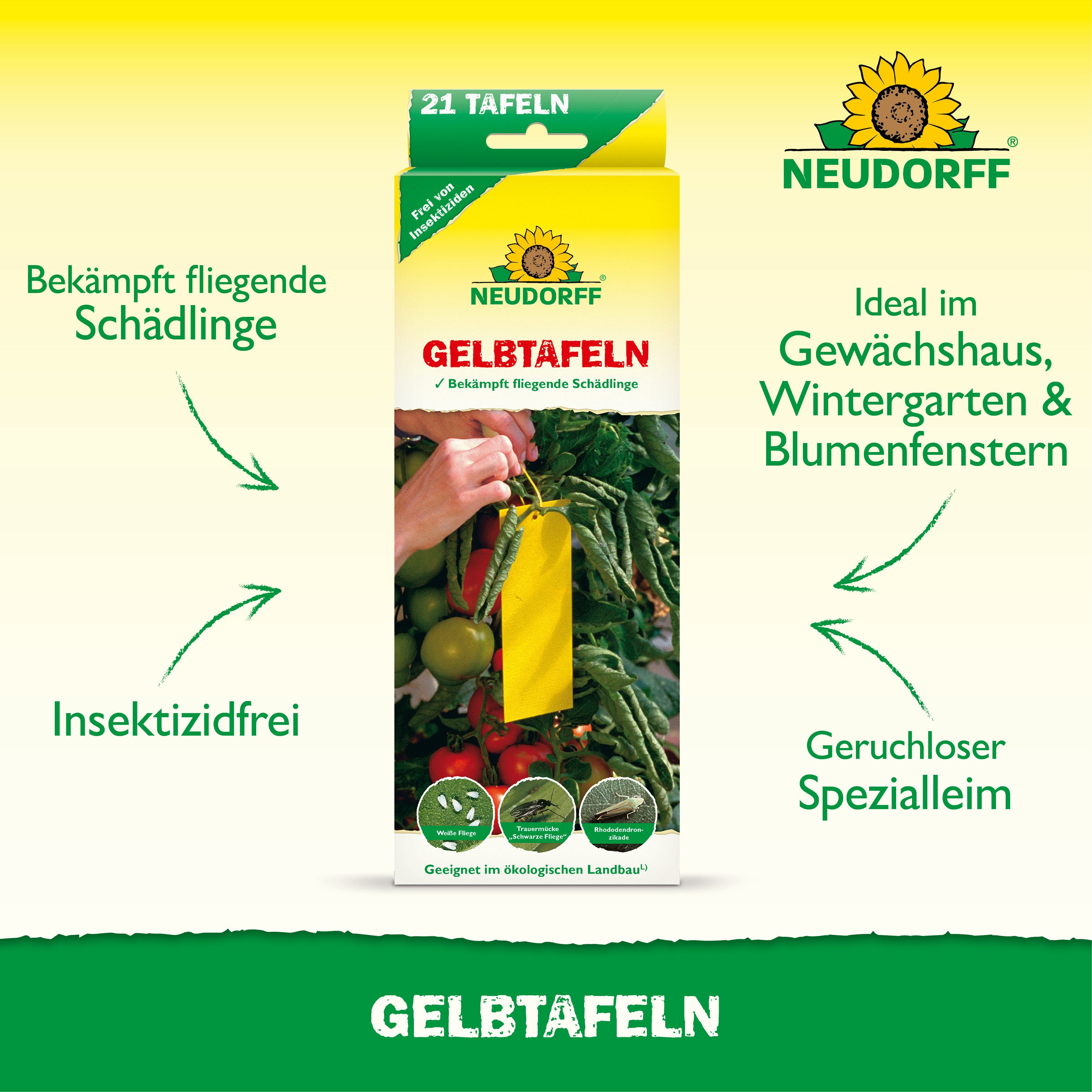 Neudorff Klebefalle Gelbtafeln (kleinformatig) 21 Stück, 21 beidseitig beleimte Gelbtafeln gegen fliegende Schädlinge – Bild 2 von 5