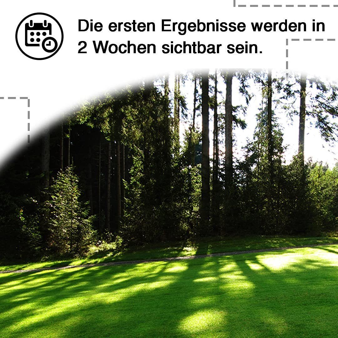 GreenEdge Blumenerde »GreenEdge Rasensamen - diverse Sorten und Größen«  Spiel-und-Sportrasen-400-GR