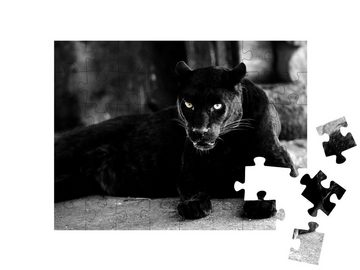 puzzleYOU Puzzle Schöner schwarzer Panther: eine Großkatze, 48 Puzzleteile, puzzleYOU-Kollektionen Panther, Raubtiere