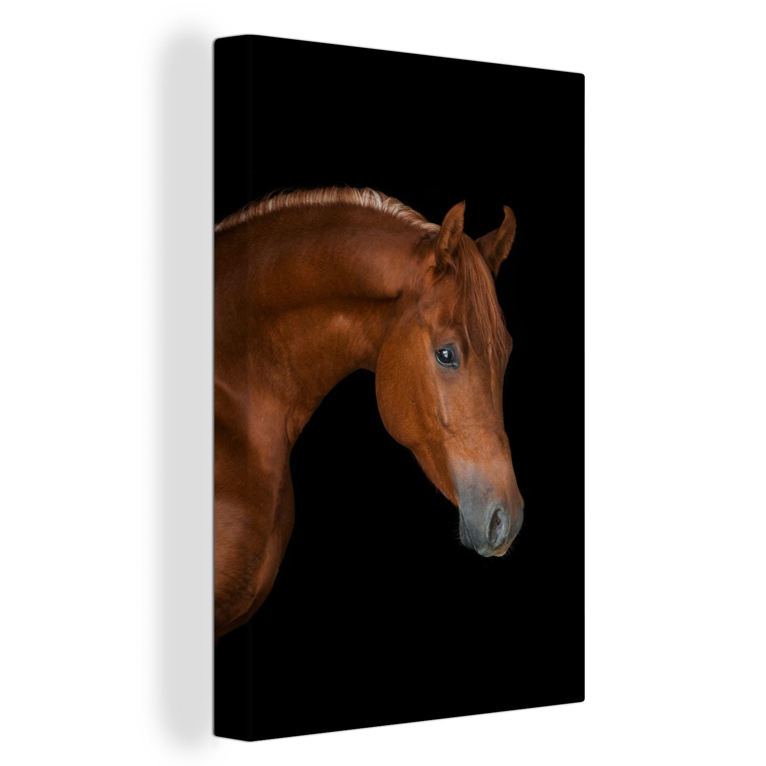 Pferd - (1 fertig Leinwandbild Gemälde, cm 20x30 Zackenaufhänger, Leinwandbild inkl. St), OneMillionCanvasses® Tier, Schwarz bespannt -