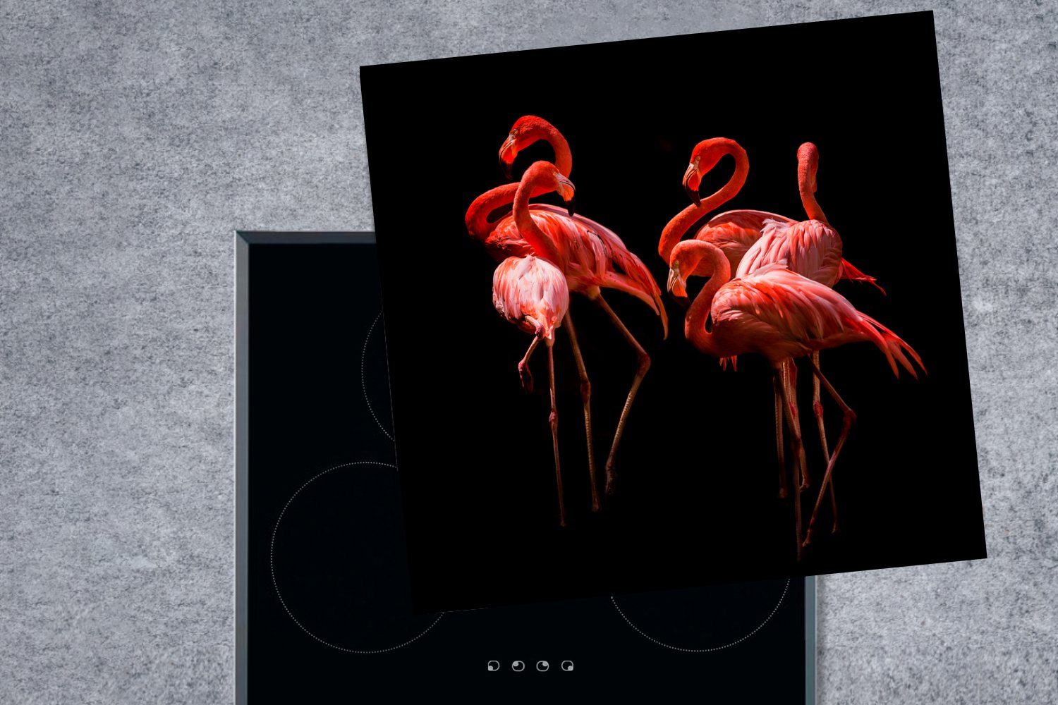Vögel tlg), (1 Vinyl, Federn - - Schwarz, MuchoWow - 78x78 Herdblende-/Abdeckplatte küche cm, Flamingos für Arbeitsplatte Ceranfeldabdeckung,
