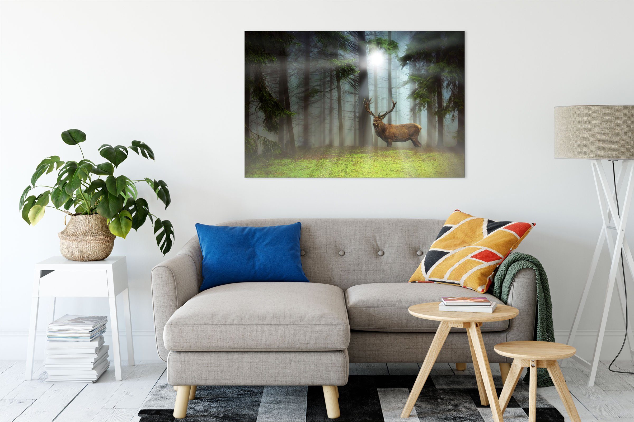 Pixxprint Leinwandbild Hirsch auf Waldlichtung Sonnenstrahlen, günstig online kaufen