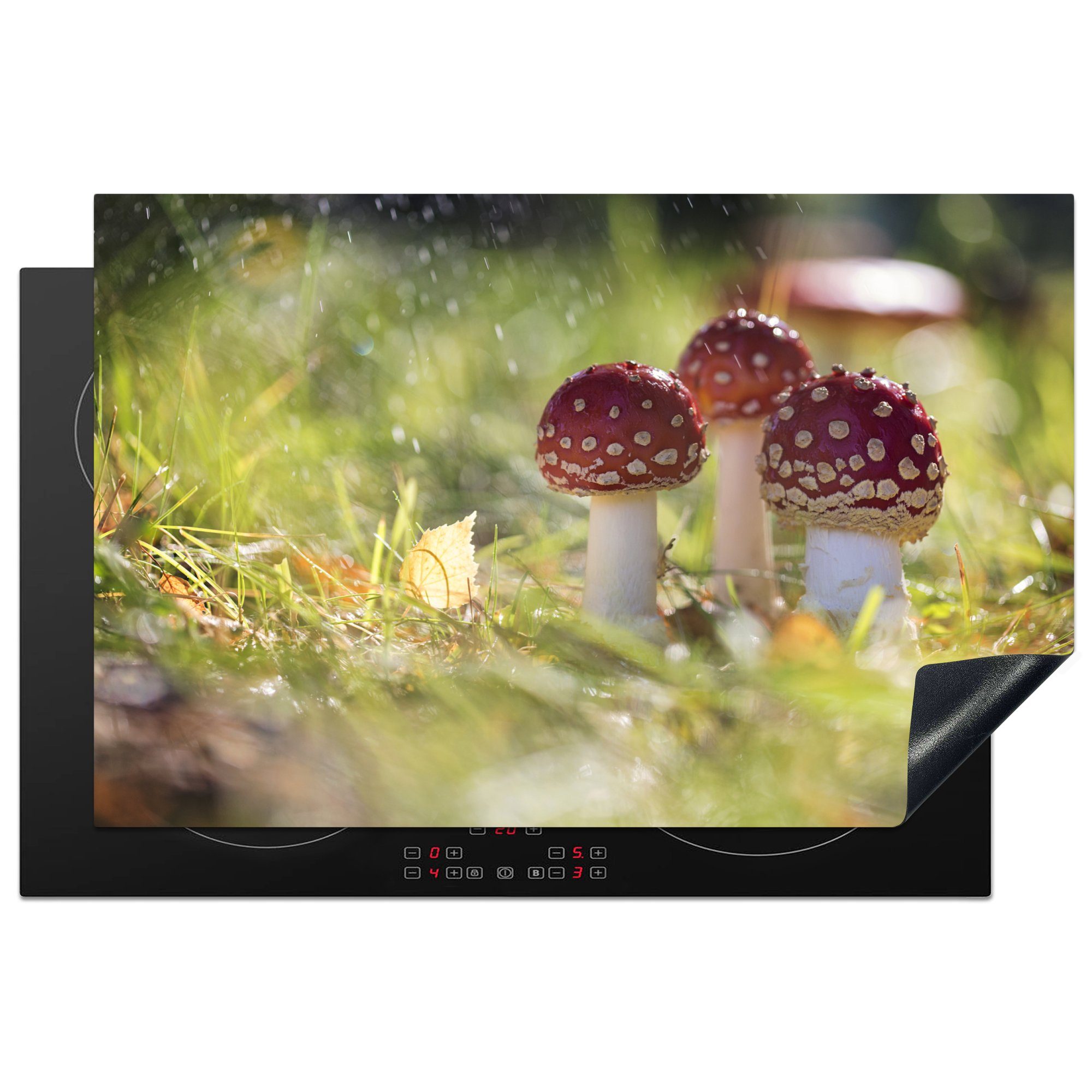 MuchoWow Herdblende-/Abdeckplatte Kleine Pilze auf einem Feld, Vinyl, (1 tlg), 81x52 cm, Induktionskochfeld Schutz für die küche, Ceranfeldabdeckung