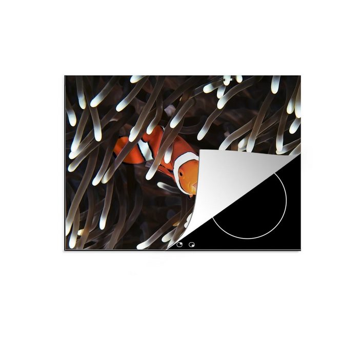 MuchoWow Herdblende-/Abdeckplatte Koralle - Clownfisch - Meer - Fisch Vinyl (1 tlg) Mobile Arbeitsfläche nutzbar Ceranfeldabdeckung