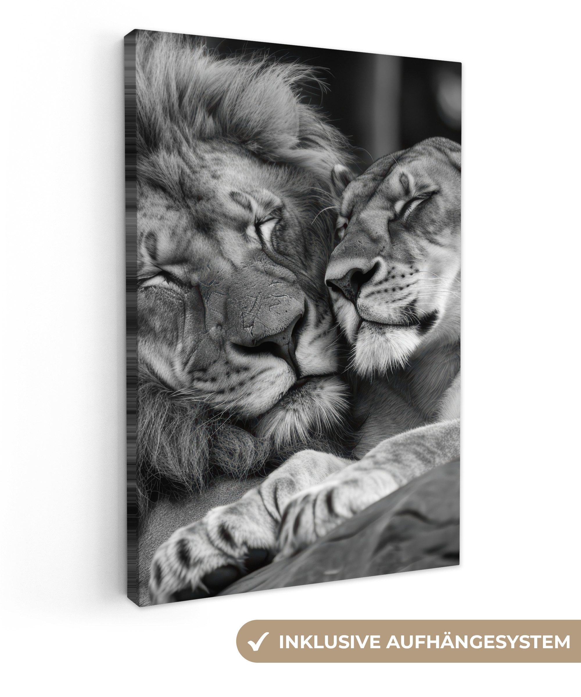 OneMillionCanvasses® Leinwandbild Löwen - Tiere - Schwarz - Weiß - Löwe, Fo günstig online kaufen