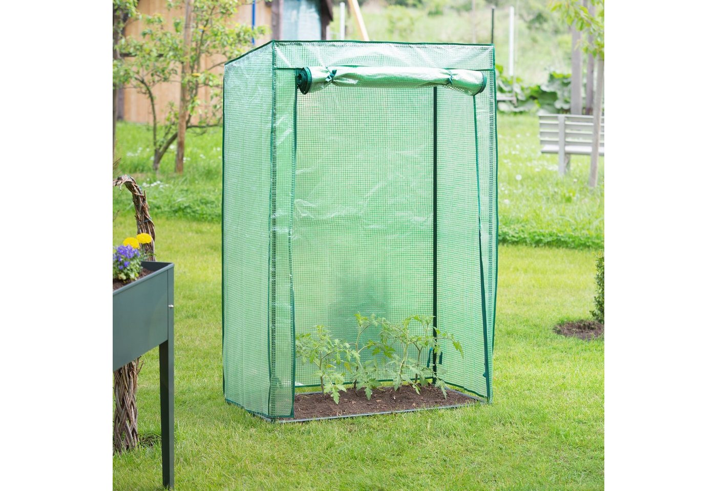 relaxdays Tomatengewächshaus 3 x Tomate... relaxdays Tomatengewächshaus 3 x Tomate...