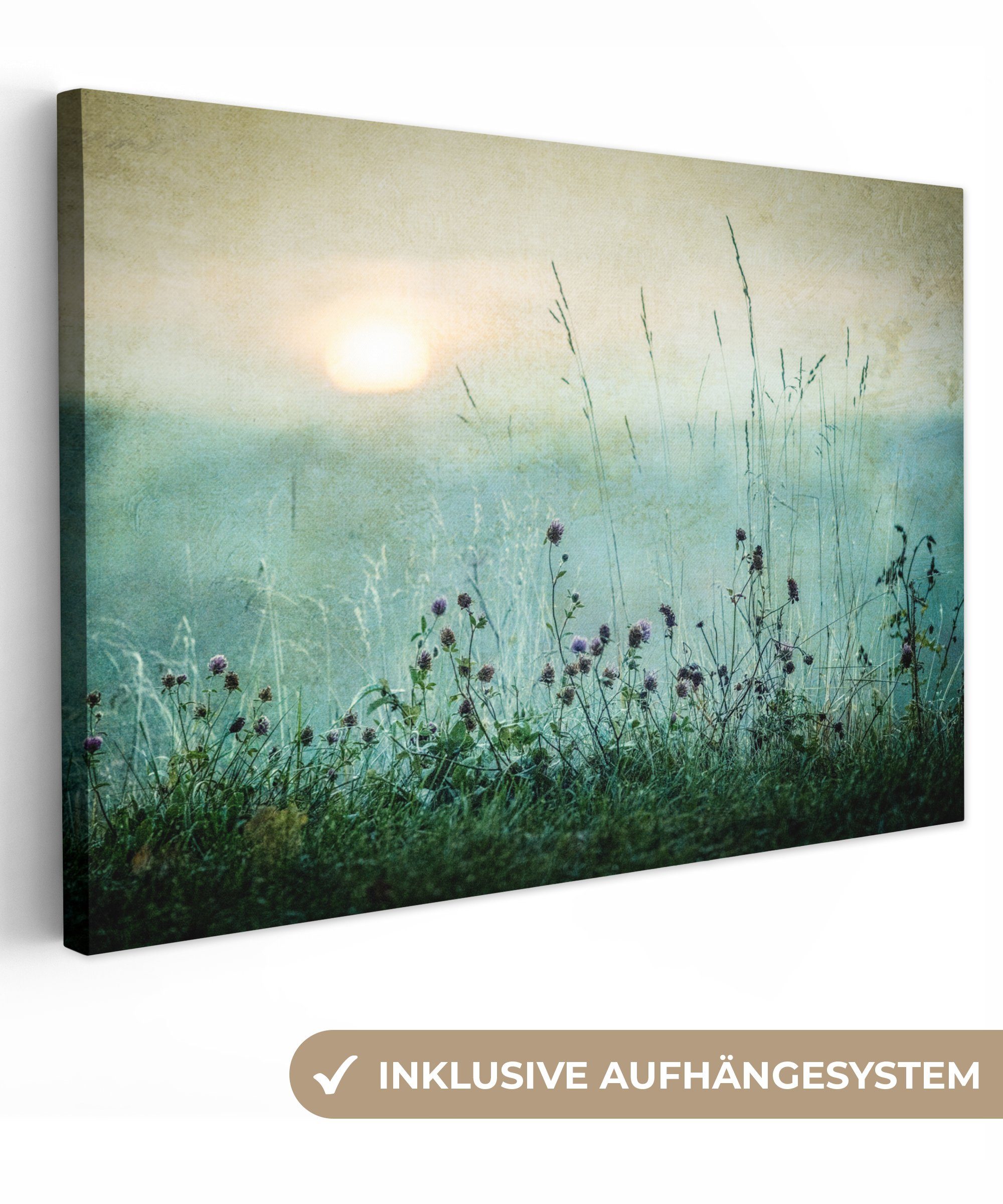 Leinwandbild Natur - Vintage - Blumen - Sonne