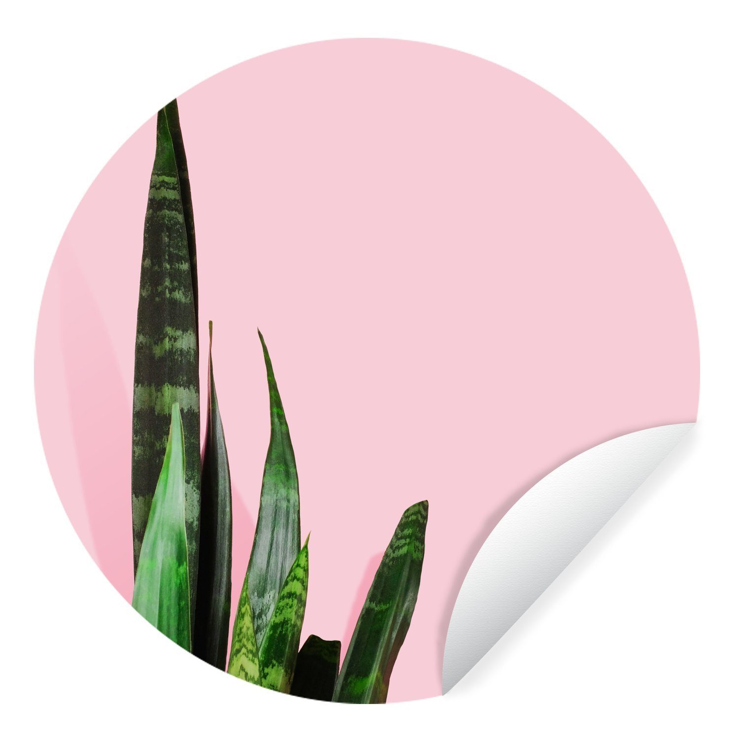 MuchoWow Wandsticker Große Zimmerpflanze auf rosa Hintergrund (1 St), Tapetenkreis für Kinderzimmer, Tapetenaufkleber, Rund, Wohnzimmer