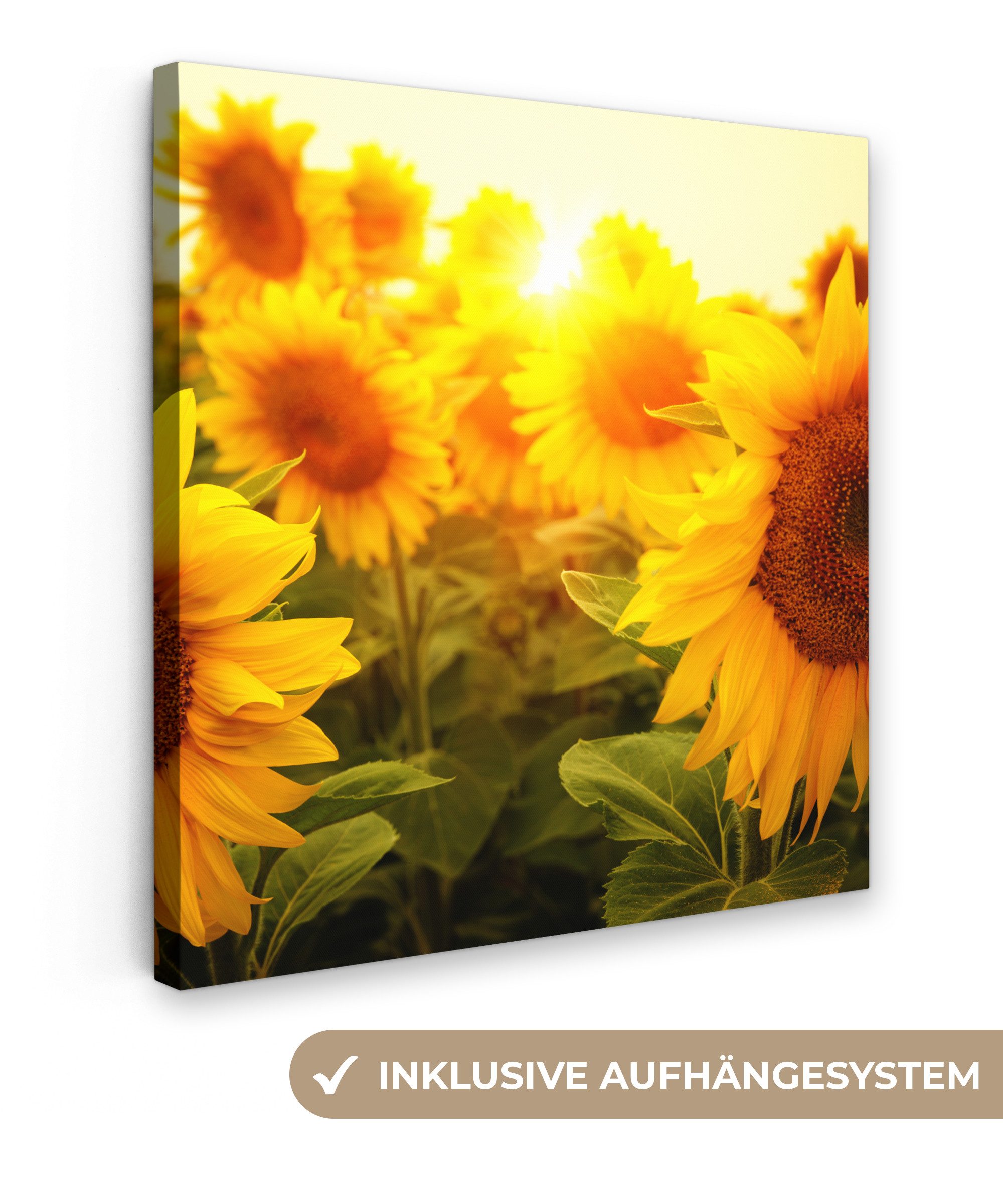 OneMillionCanvasses® Leinwandbild Sonnenblume - Gelb - günstig online kaufen