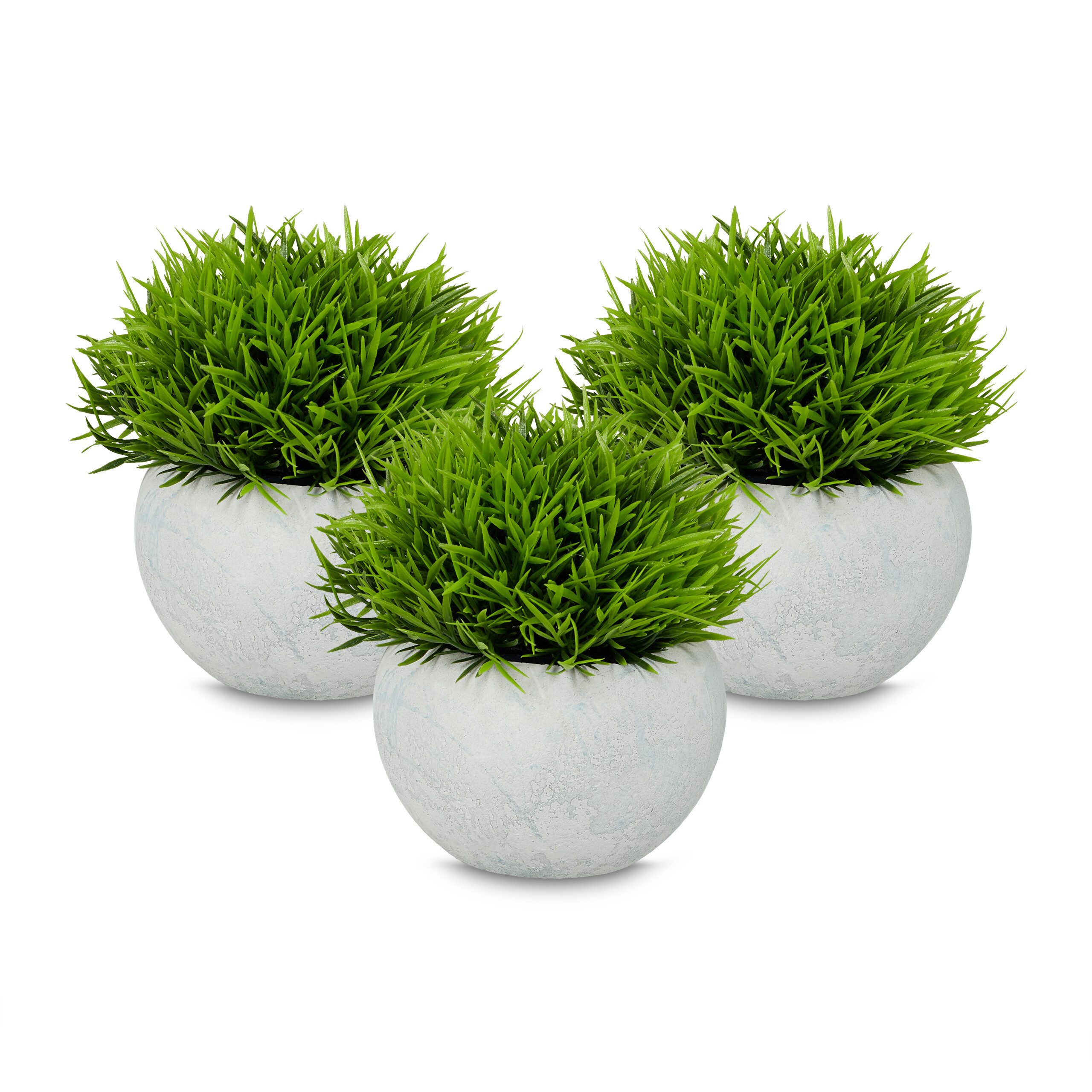 Kunstpflanze 3er Set Gras, relaxdays, Höhe günstig online kaufen
