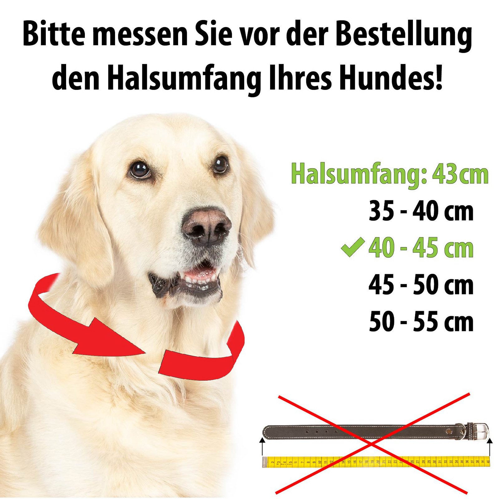 CopcoPet Hunde-Halsband Lederhalsband Hundehalsband - Heidi, Messing, Leder, Geflochten, Handarbeit