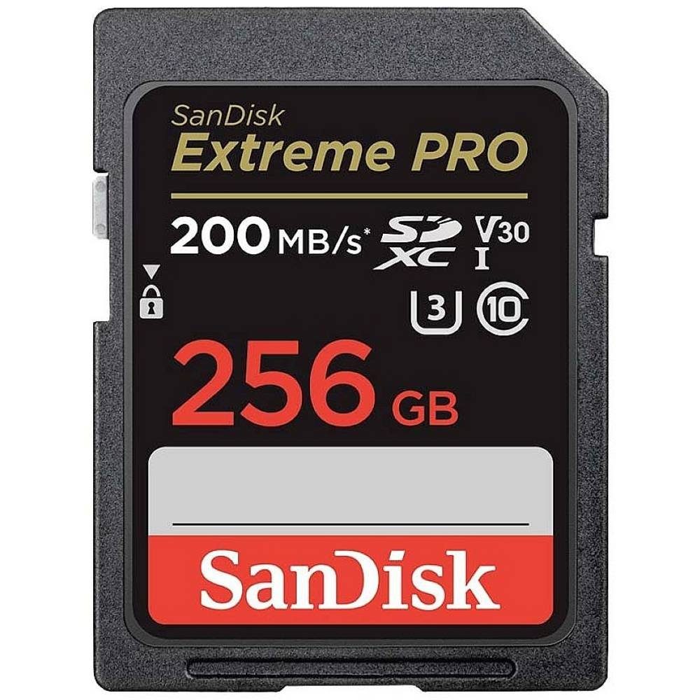 Sandisk 256 GB SDXC UHS-I Klasse 10 SDSDXXD-256G-GN4IN Speicherkarte (stoßsicher, Wasserdicht)