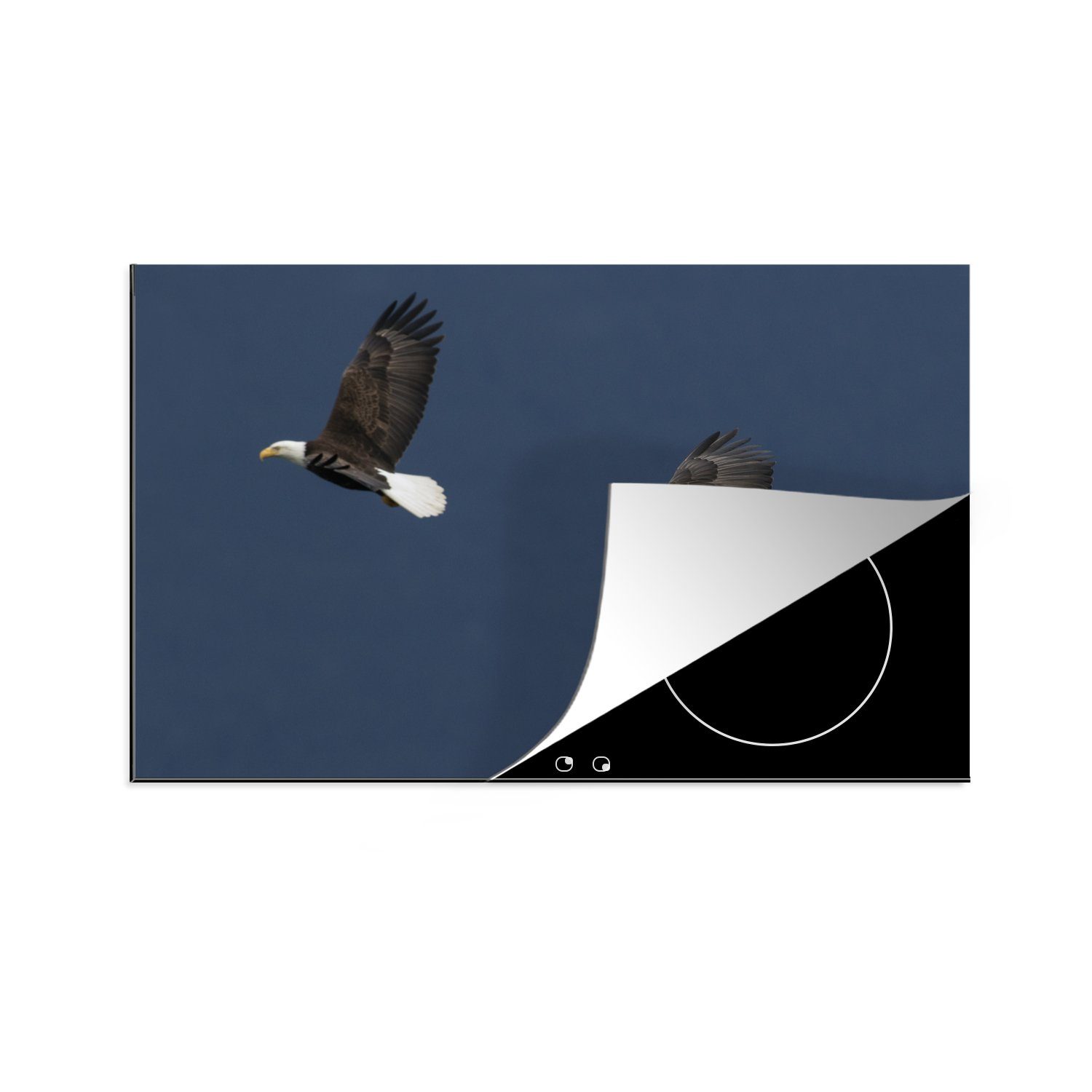 MuchoWow Herdblende-/Abdeckplatte Weißkopfseeadler - Adler - Paar - Vögel - Fliegen, Vinyl, (1 tlg), 81x52 cm, Induktionskochfeld Schutz für die küche, Ceranfeldabdeckung
