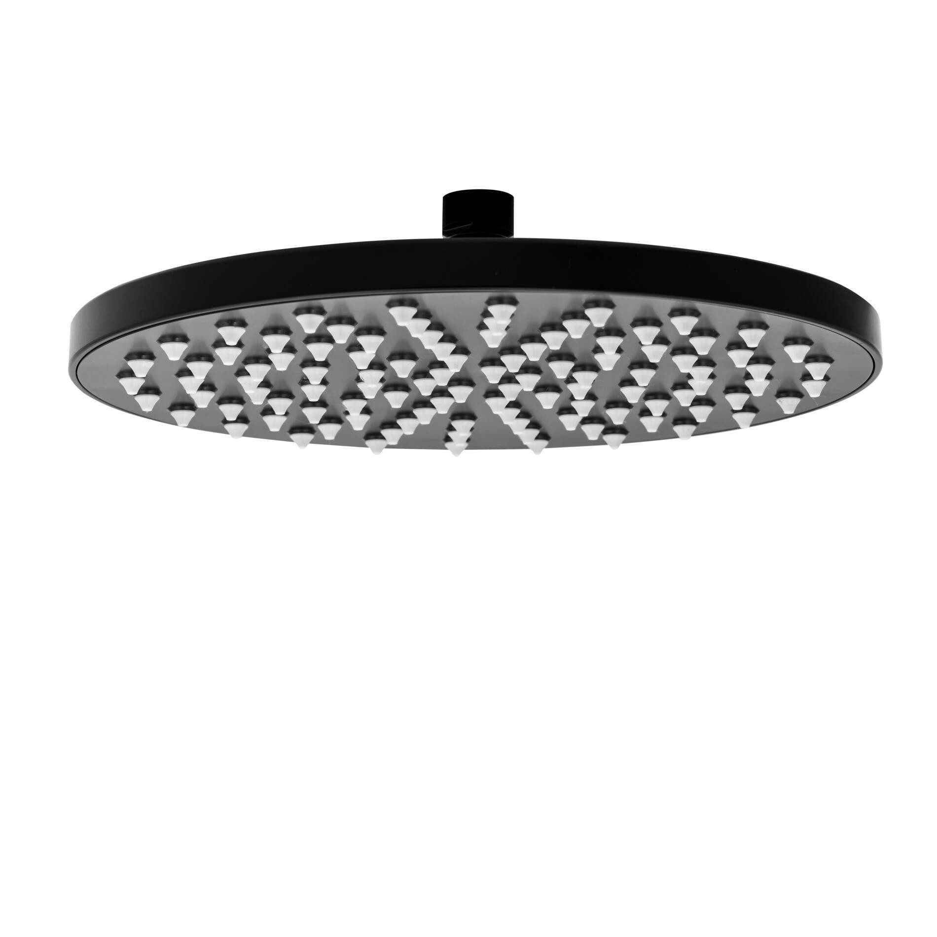Ridder Duschbrause Ravenna schwarz