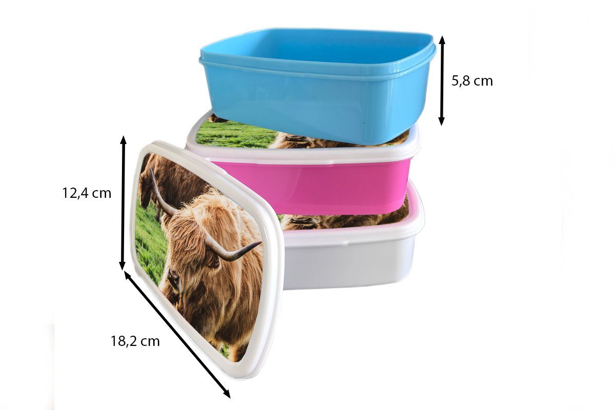 Snackbox, - Tiere Brotbox Gras, Erwachsene, für Lunchbox Mädchen, Highlander - MuchoWow Brotdose Kunststoff, (2-tlg), rosa Kinder, Schottische Kunststoff