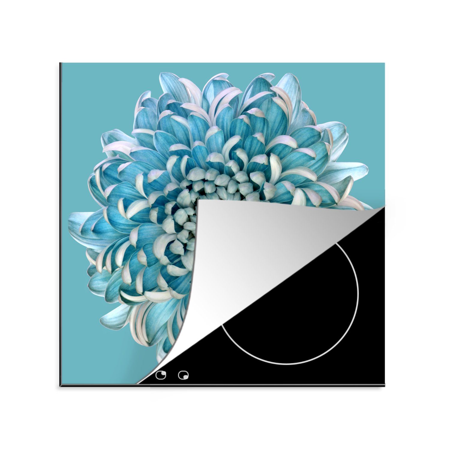 MuchoWow Herdblende-/Abdeckplatte Blaue Chrysantheme, Vinyl, (1 tlg), 78x78 cm, Ceranfeldabdeckung, Arbeitsplatte für küche