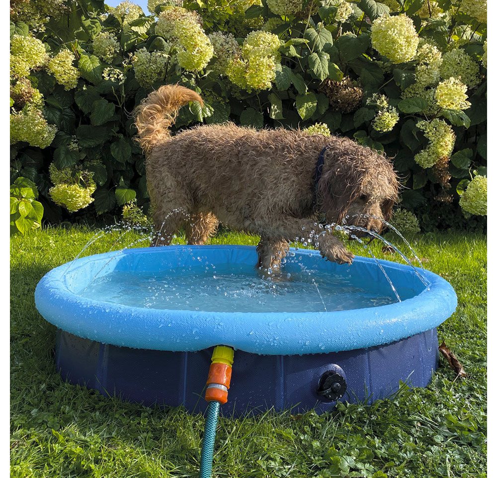 Thumbnail - Nobby Hundepool Splash Pool 2 in 1 blau