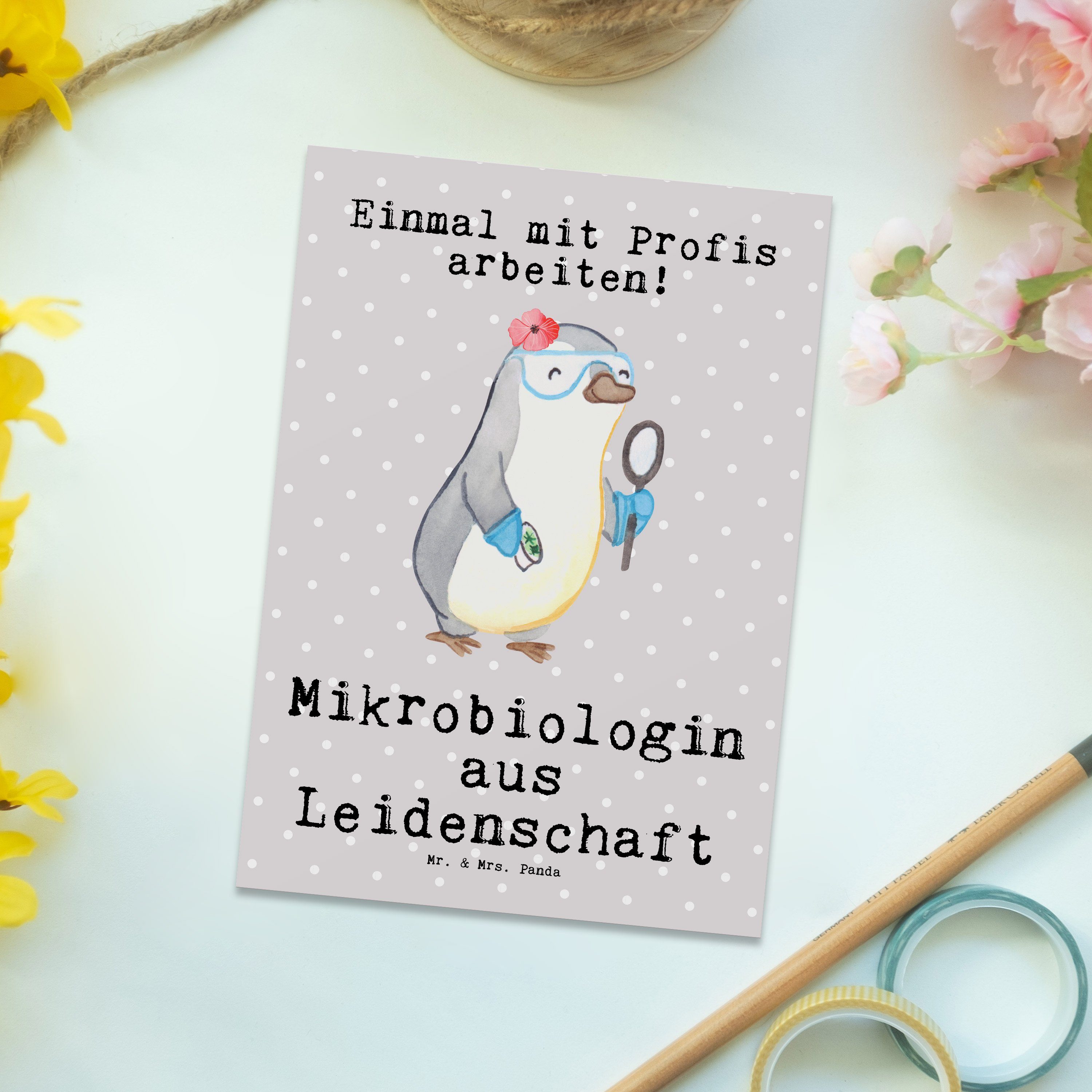 Pastell - Grau Mrs. aus Naturwissen Geschenk, Leidenschaft Postkarte Mr. - Mikrobiologin Panda &