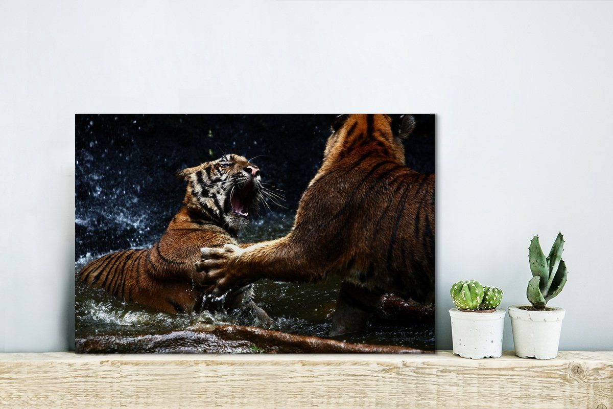 Tiger - Leinwandbild St), Wasser, - Leinwandbilder, (1 OneMillionCanvasses® Spiele Wanddeko, 30x20 cm Aufhängefertig, Wandbild