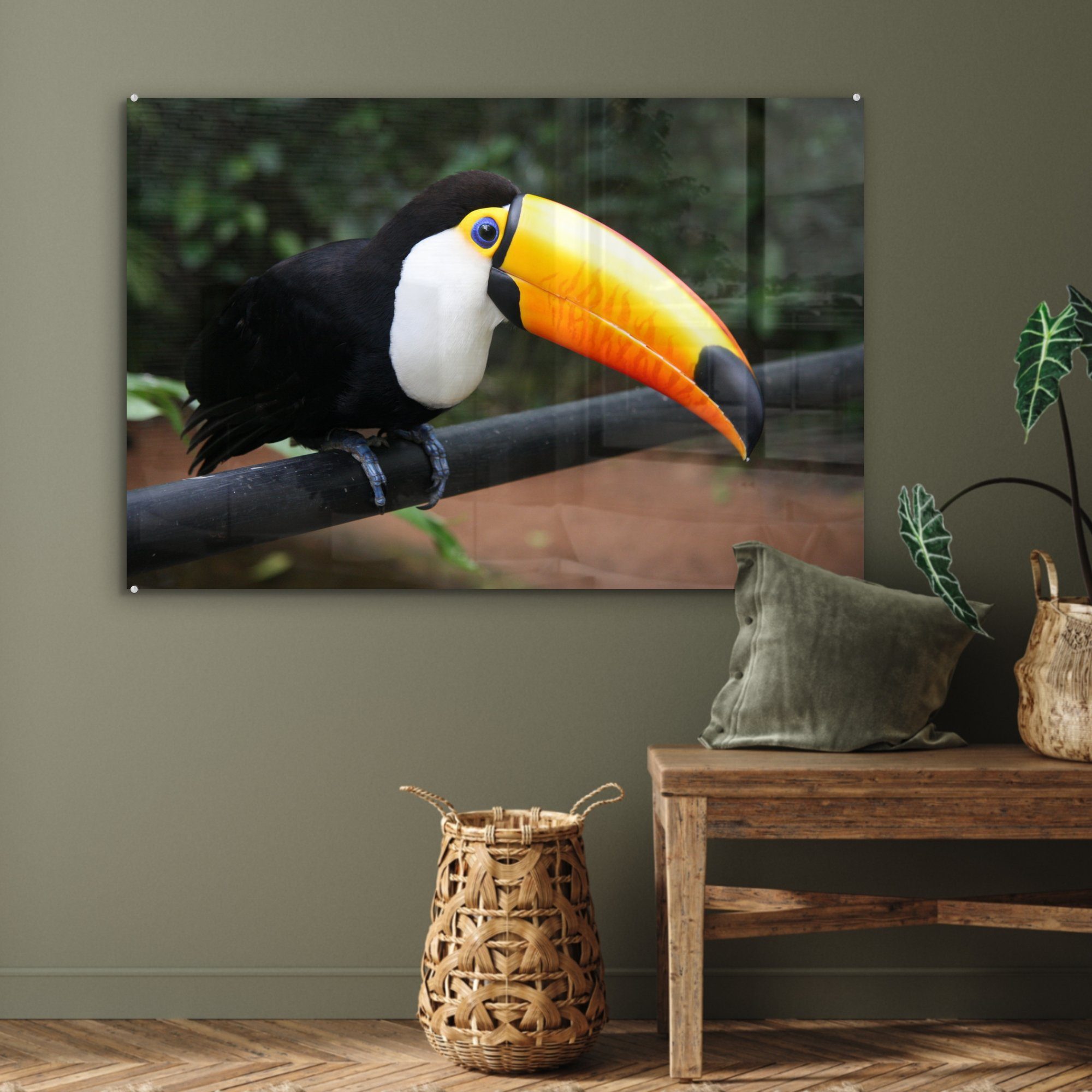 MuchoWow Acrylglasbild Tukan auf (1 einem Zweig Brasilien, Acrylglasbilder schwarzen in St), Wohnzimmer Schlafzimmer &