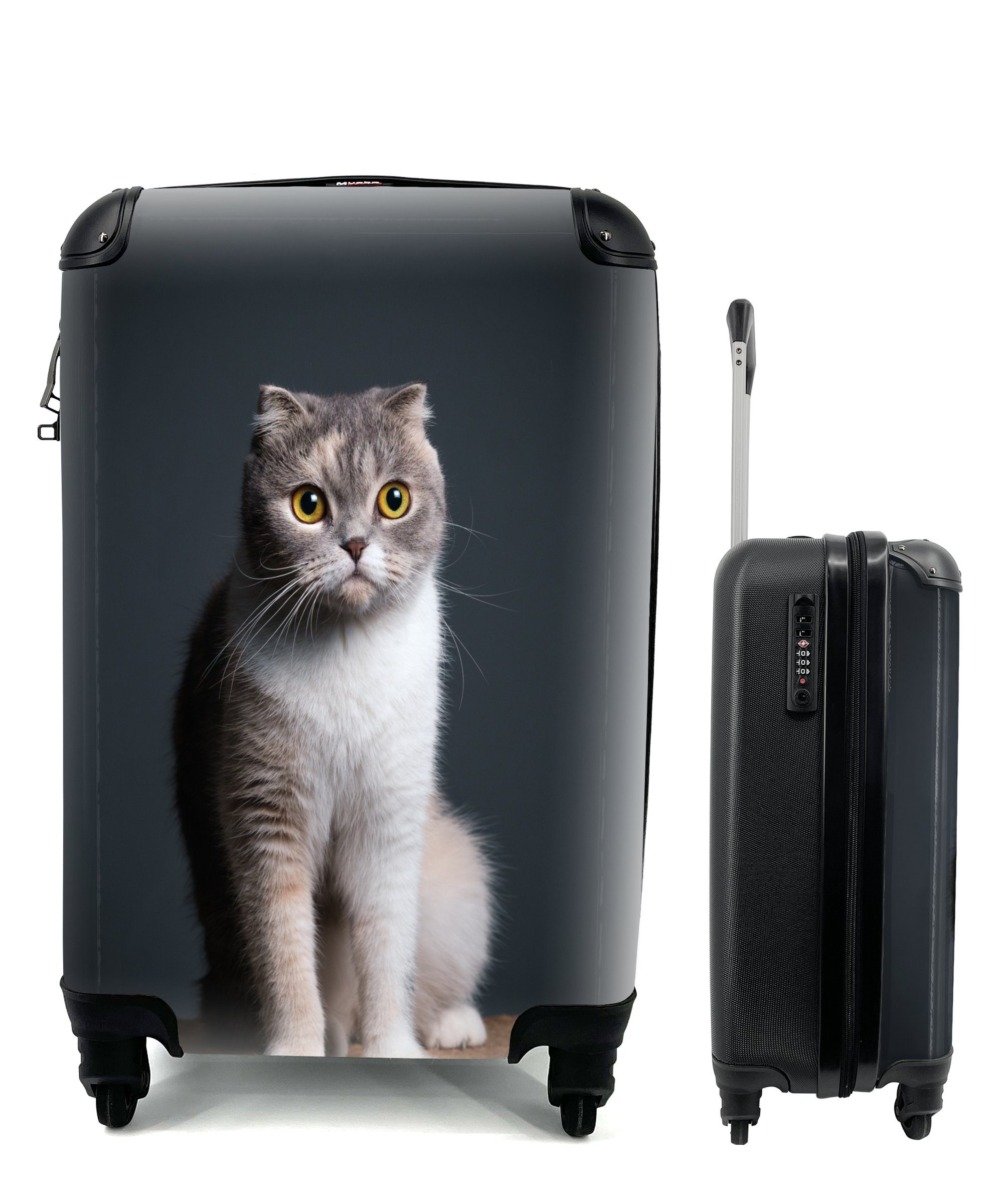 MuchoWow Handgepäckkoffer Katze - Haustiere - Licht, 4 Rollen, Reisetasche mit rollen, Handgepäck für Ferien, Trolley, Reisekoffer